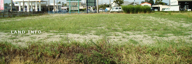LAND INFO